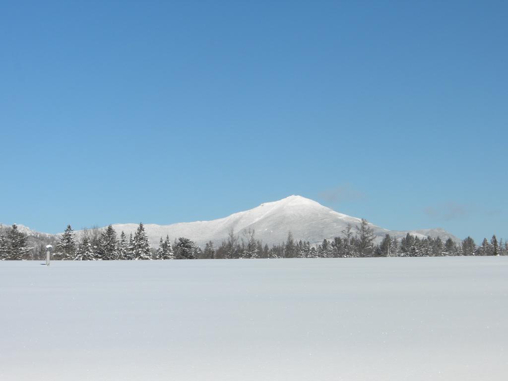 Go-cottage *